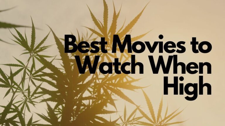 best-movies-to-watch-when-high